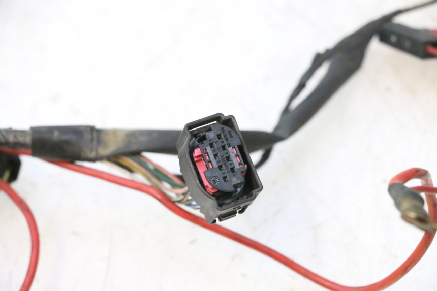 photo de FAISCEAU PEUGEOT LUDIX PRO 2T 50 (2010 - 2017) - Vue produit