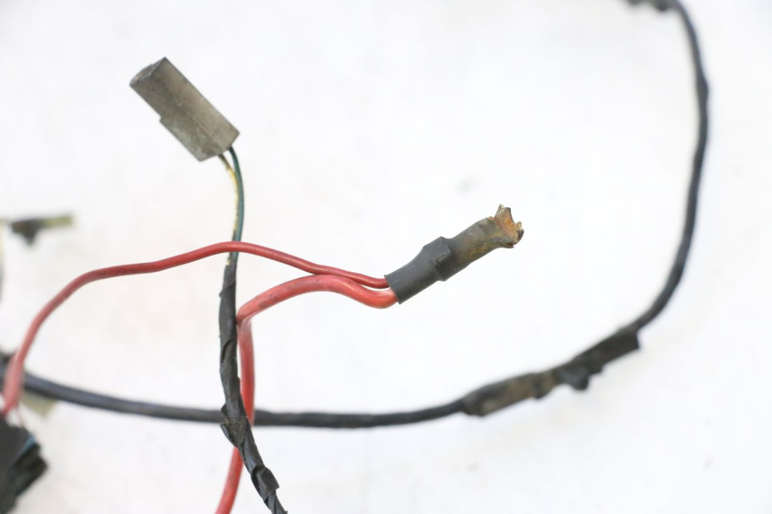 photo de FAISCEAU PEUGEOT LUDIX PRO 2T 50 (2010 - 2017) - Gros plan technique