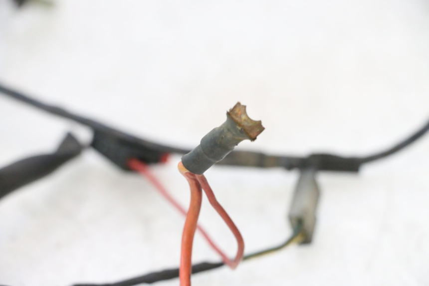 photo de FAISCEAU PEUGEOT LUDIX PRO 2T 50 (2010 - 2017) - Points de fixation