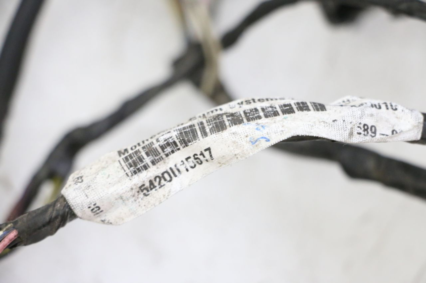 photo de FAISCEAU PIAGGIO LXV 4T 50 (2009 - 2013)