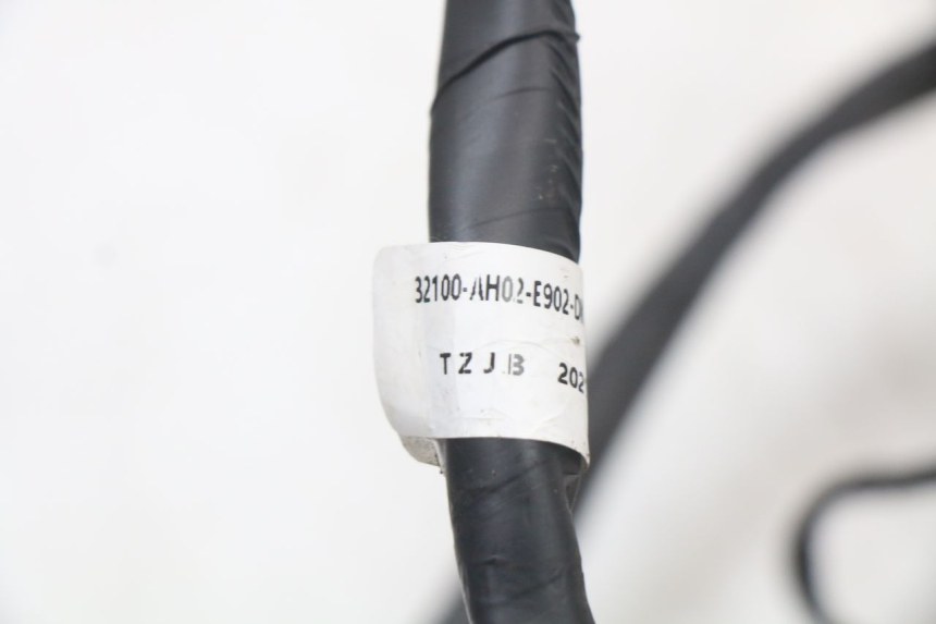 photo de FAISCEAU MASH LEGEND'R 4T 50 (2021 - 2025)