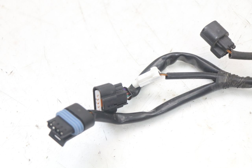 photo de FAISCEAU MASH LEGEND'R 4T 50 (2021 - 2025)