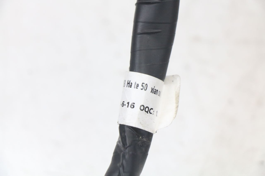photo de FAISCEAU MASH LEGEND'R 4T 50 (2021 - 2025)