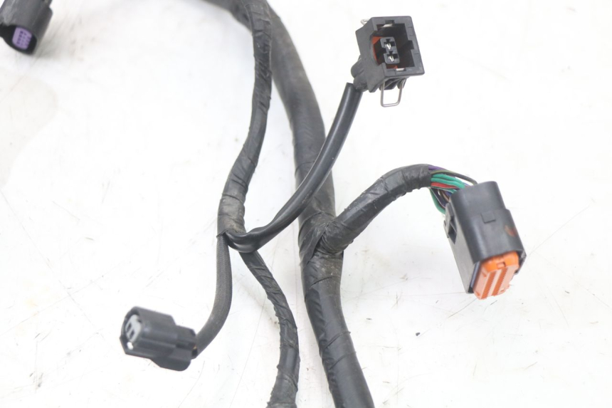 photo de FAISCEAU MASH LEGEND'R 4T 50 (2021 - 2025)