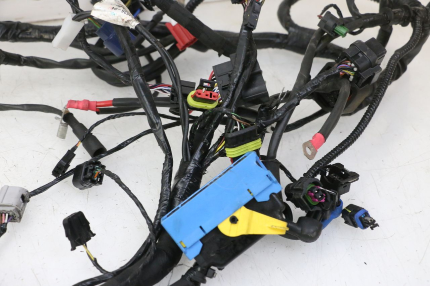 photo de FAISCEAU PIAGGIO MP3 HPE 310 (2024 - 2025)