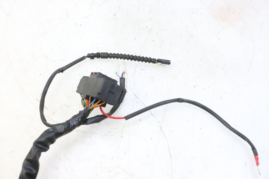 photo de FAISCEAU PIAGGIO MP3 HPE 310 (2024 - 2025)