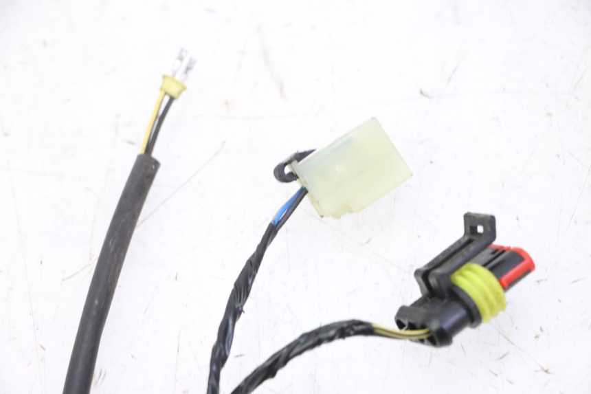 photo de FAISCEAU PIAGGIO MP3 HPE 310 (2024 - 2025)