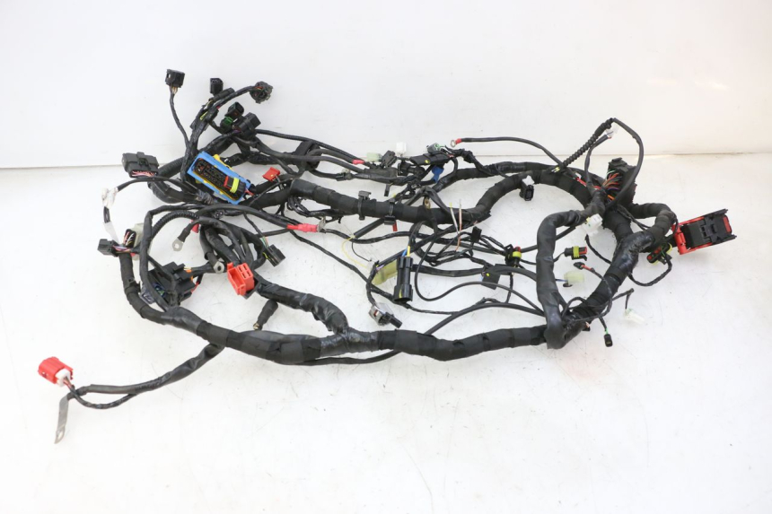 photo de FAISCEAU PIAGGIO MP3 HPE 310 (2024 - 2025)