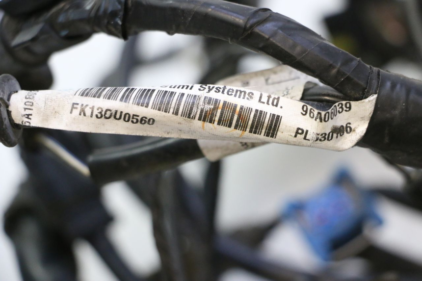photo de FAISCEAU PIAGGIO MP3 LT 300 (2010 - 2016) - Détail de la pièce