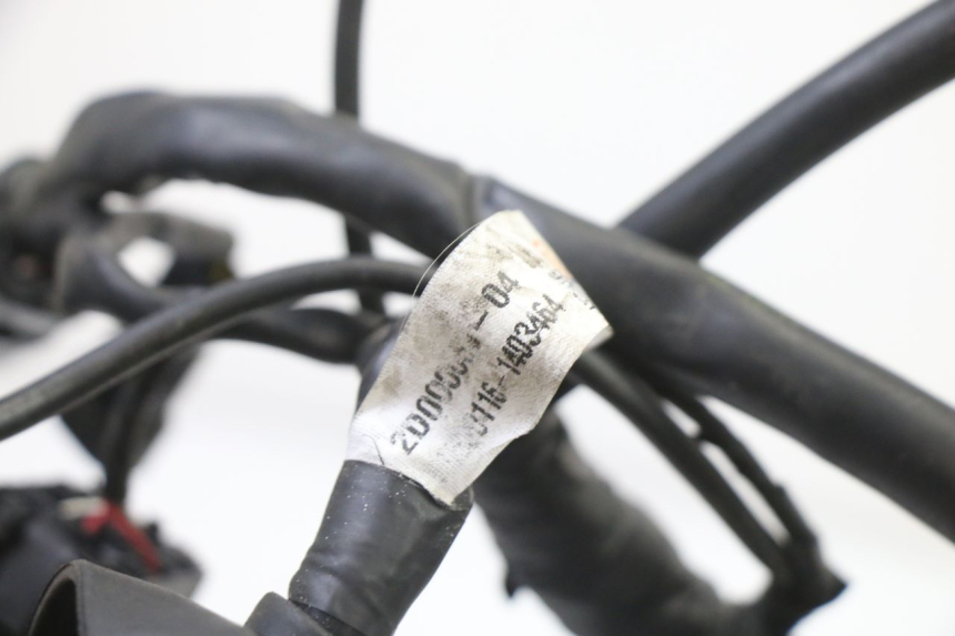 photo de FAISCEAU PIAGGIO MP3 500 (2014 - 2016)