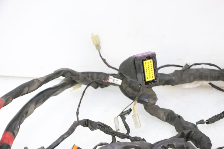 photo de FAISCEAU PIAGGIO MP3 125 (2006 - 2014)