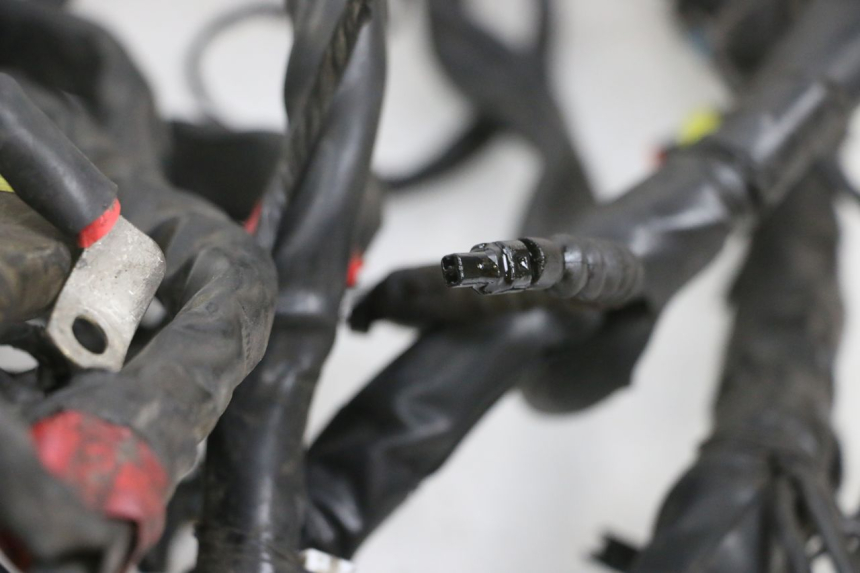 photo de FAISCEAU PIAGGIO MP3 RL 250 (2007 - 2010) - Détail de la pièce