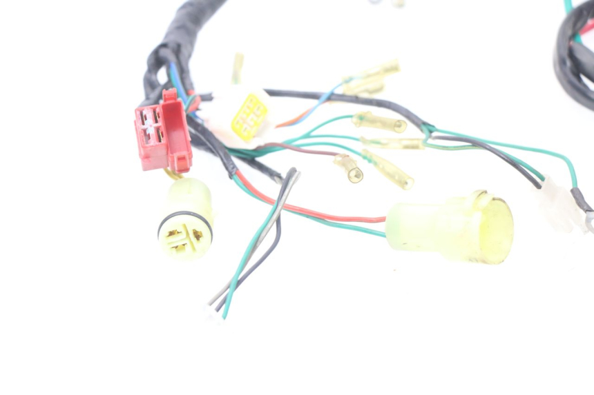 photo de FAISCEAU ASIAWING NC ENDURO 250 (2015 - 2021) - Vue d’ensemble