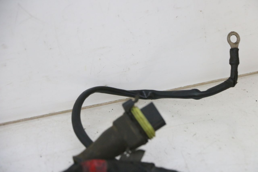 photo de FAISCEAU PIAGGIO NEW TYPHOON 50 (2010 - 2017)