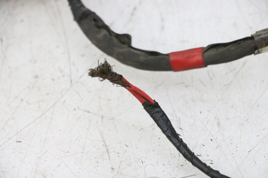 photo de FAISCEAU PIAGGIO NEW TYPHOON 50 (2010 - 2017)