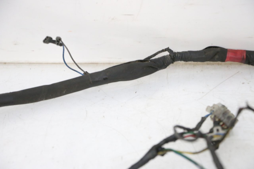 photo de FAISCEAU PIAGGIO NEW TYPHOON 50 (2010 - 2017)