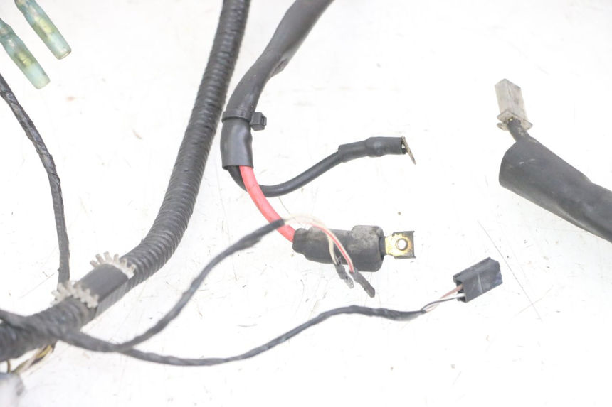 photo de FAISCEAU PIAGGIO NRG POWER PUREJET 50 (2018 - 2021)