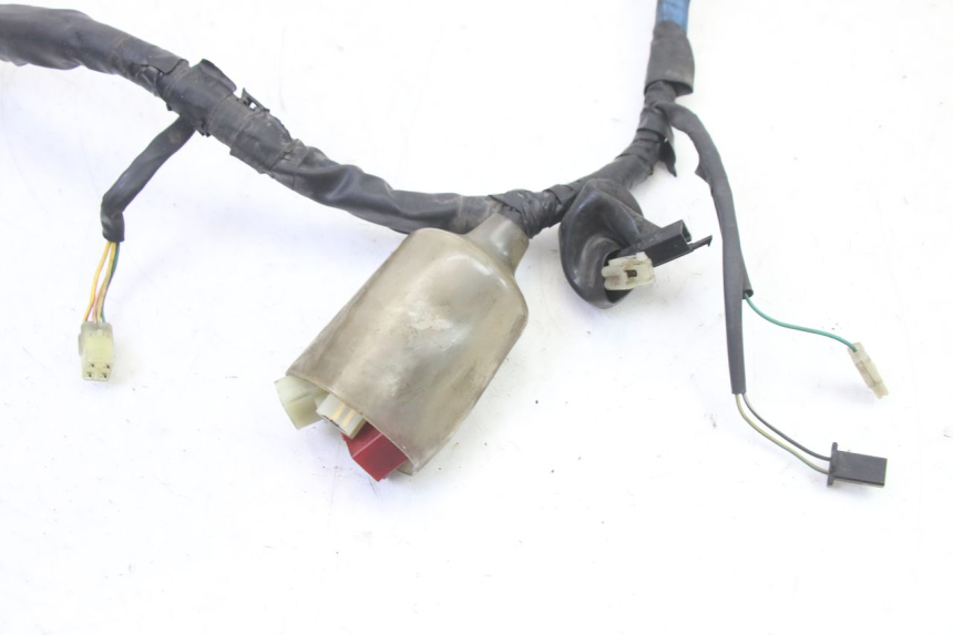photo de FAISCEAU HONDA NTV DEAUVILLE 650 (2001 - 2006)