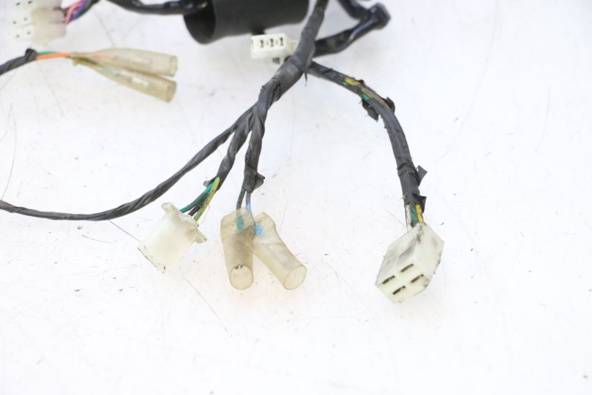 photo de FAISCEAU JM MOTORS OLDIES 4T 50 (2010 - 2020) - Zoom composants