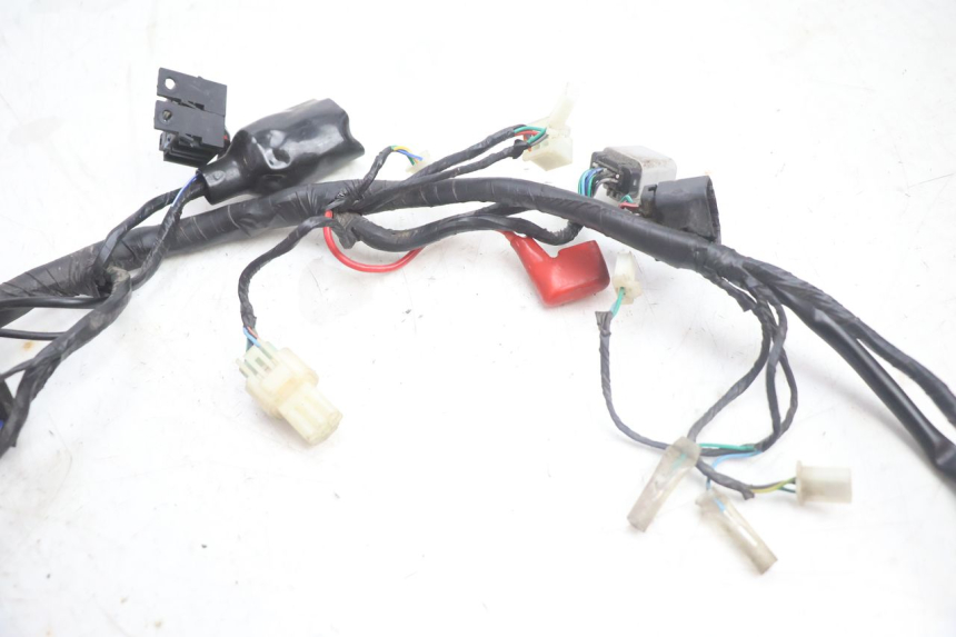 photo de FAISCEAU JM MOTORS OLDIES 4T 50 (2020 - 2026) - Autre angle de vue