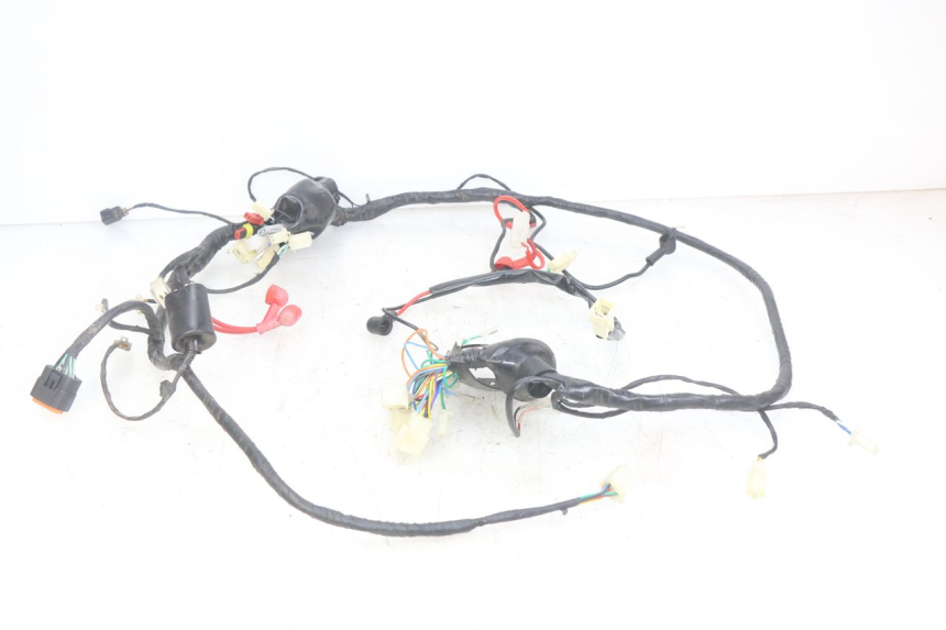 photo de FAISCEAU JM MOTORS OLDIES RS 4T 50 (2021 - 2024)