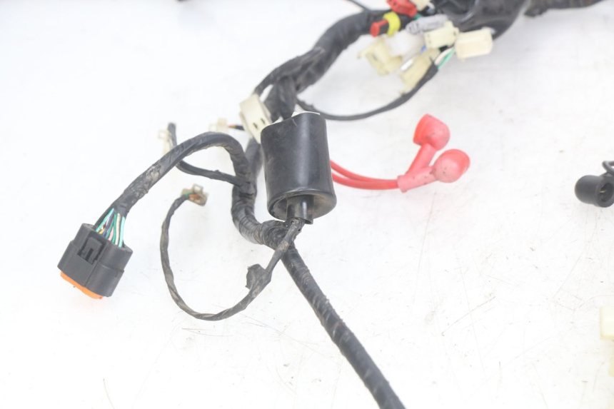 photo de FAISCEAU JM MOTORS OLDIES RS 4T 50 (2021 - 2024)