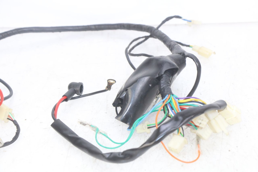 photo de FAISCEAU JM MOTORS OLDIES RS 4T 50 (2021 - 2024)