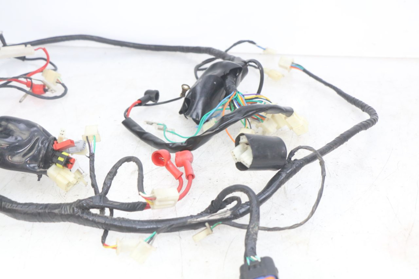photo de FAISCEAU JM MOTORS OLDIES RS 4T 50 (2021 - 2024)