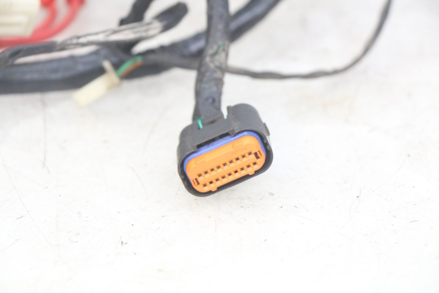 photo de FAISCEAU JM MOTORS OLDIES RS 4T 50 (2021 - 2024)