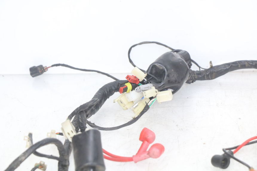 photo de FAISCEAU JM MOTORS OLDIES RS 4T 50 (2021 - 2024)