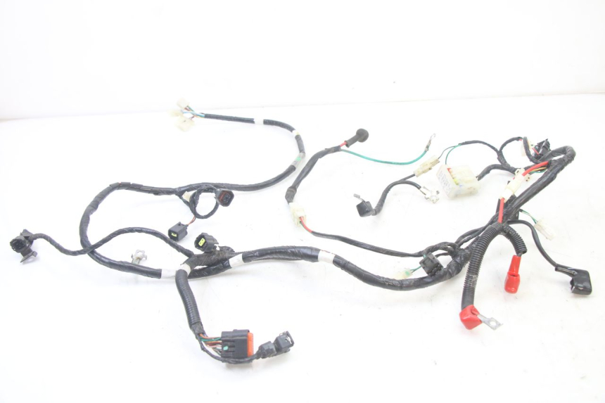 photo de FAISCEAU SYM ORBIT III 3 4T 50 (2021 - 2025)