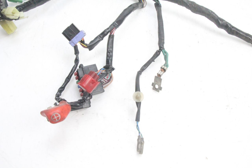 photo de FAISCEAU HONDA PCX (JF28) 125 (2009 - 2011) - Gros plan technique