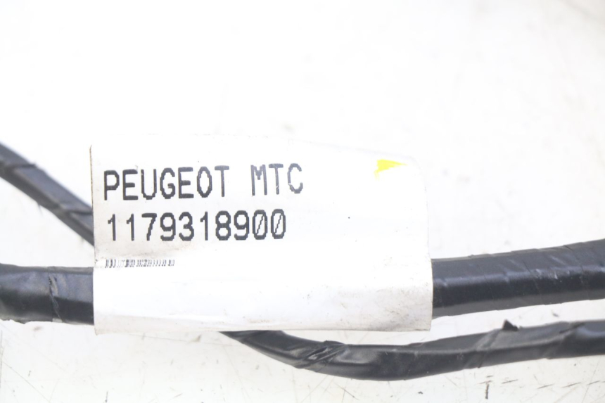 photo de FAISCEAU PEUGEOT CITYSTAR 2T 50 (2018 - 2021)