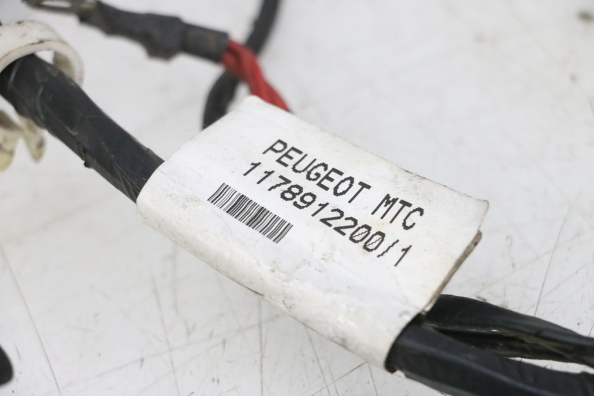 photo de FAISCEAU PEUGEOT CITYSTAR 2T 50 (2018 - 2021)