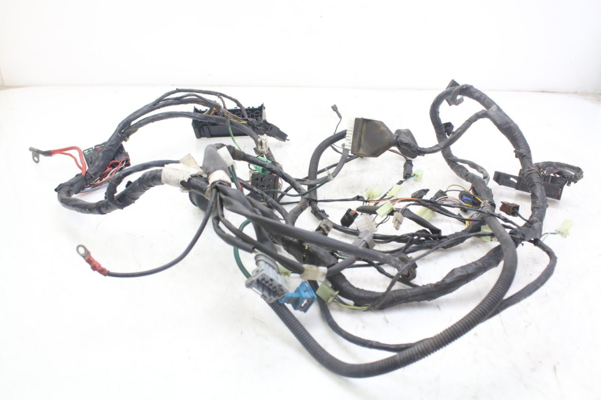 photo de FAISCEAU PEUGEOT GEOPOLIS RS 125 (2007 - 2009)