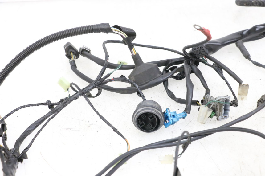 photo de FAISCEAU PEUGEOT GEOPOLIS RS 125 (2007 - 2009)