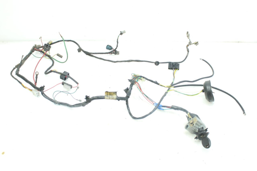photo de FAISCEAU PEUGEOT LUDIX 50 (2008 - 2017)