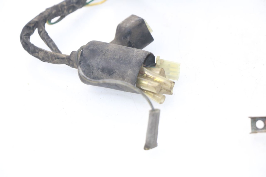 photo de FAISCEAU PEUGEOT SC 50 (1988 - 1992)