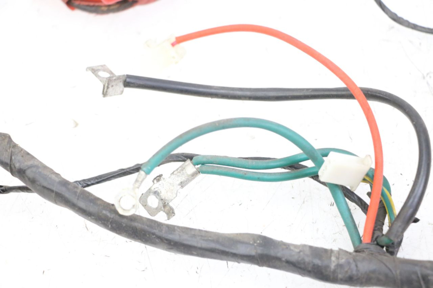 photo de FAISCEAU PEUGEOT TWEET 4T 50 (2018 - 2020)