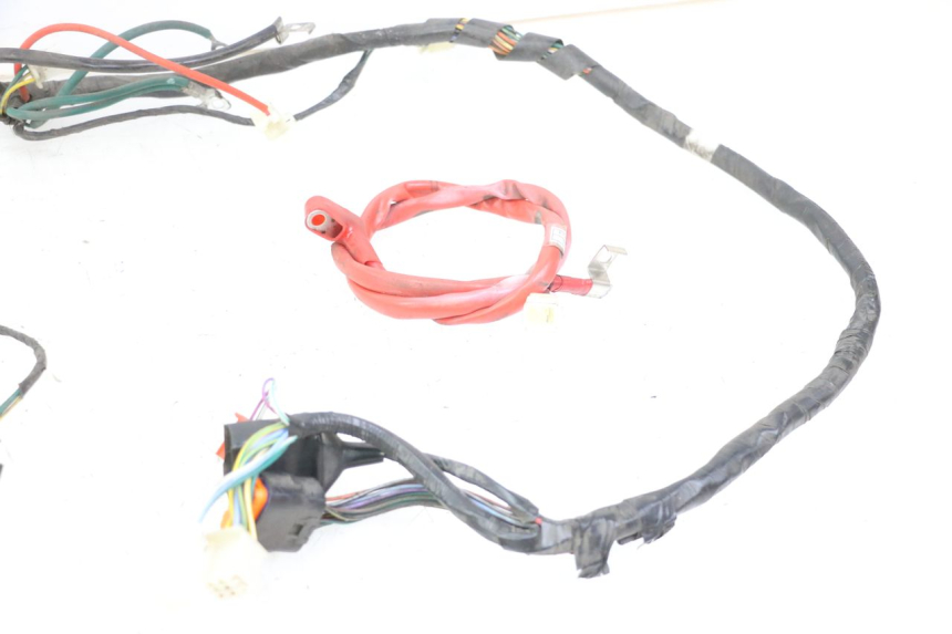 photo de FAISCEAU PEUGEOT TWEET 4T 50 (2018 - 2020)