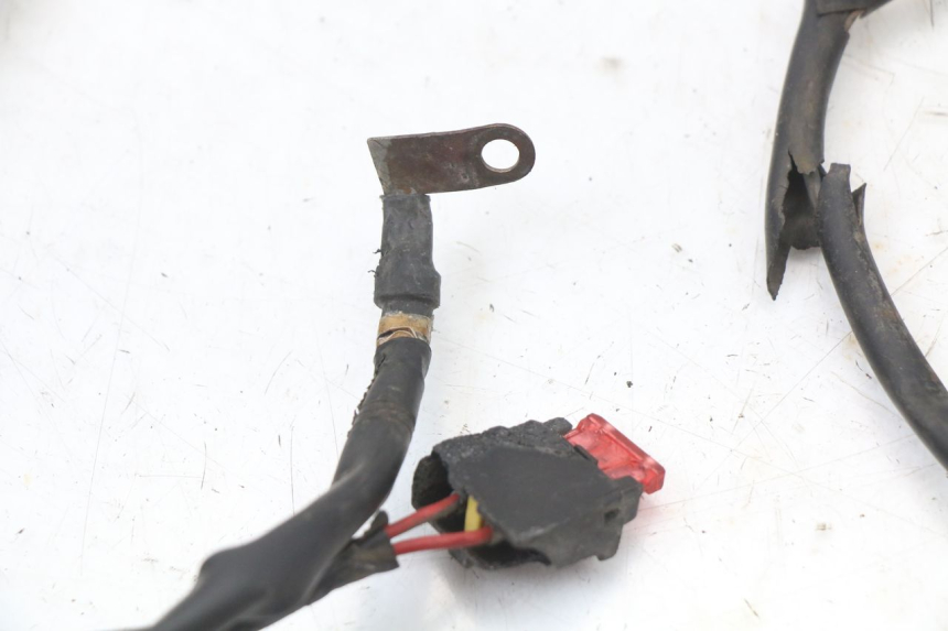 photo de FAISCEAU PIAGGIO FLY 4T 50 (2004 - 2010)