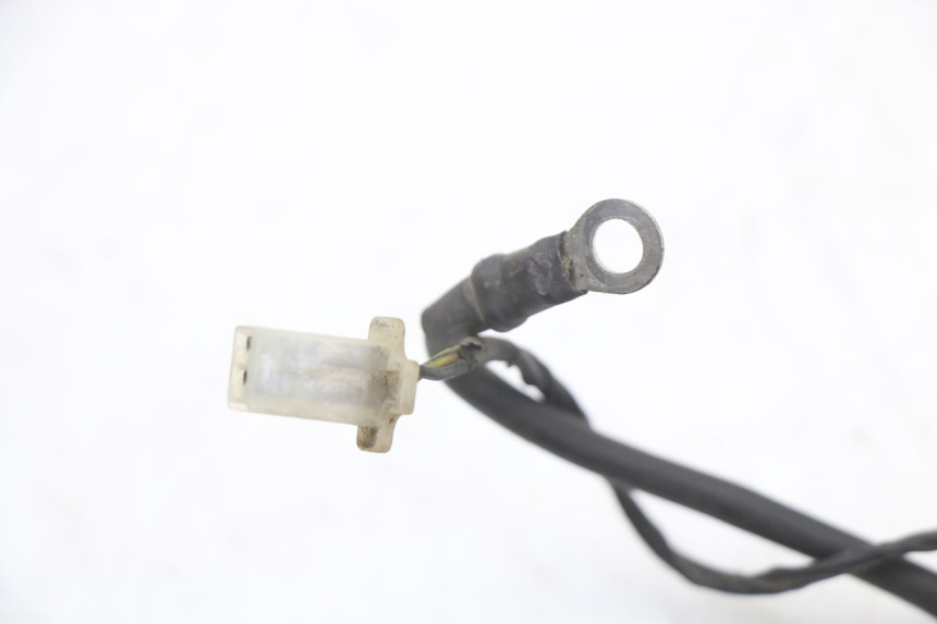 photo de FAISCEAU PIAGGIO FLY 4T 50 (2004 - 2010)