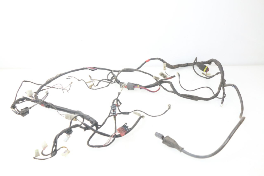 photo de FAISCEAU PIAGGIO LIBERTY 4T 50 (2004 - 2008)