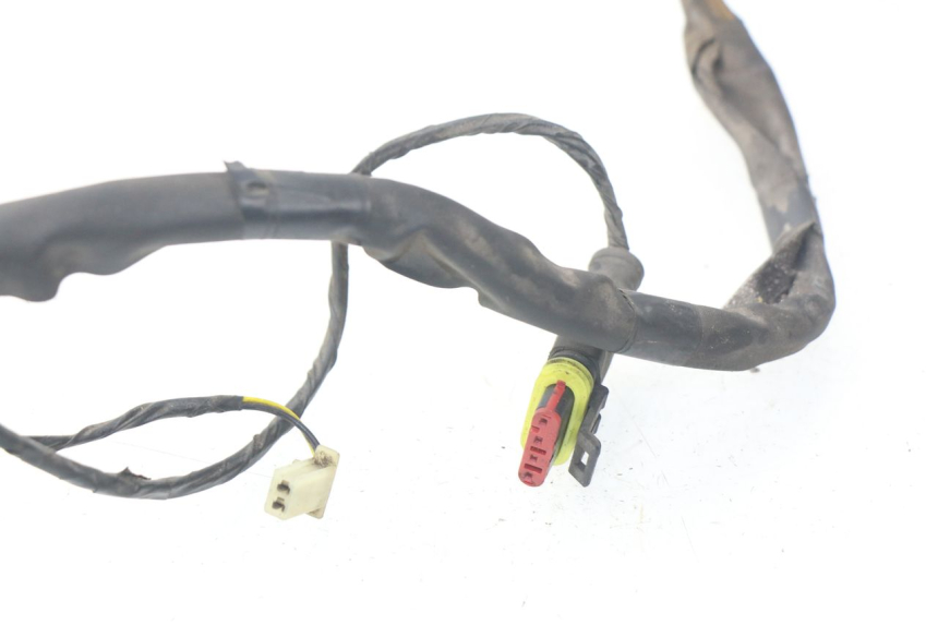 photo de FAISCEAU PIAGGIO LIBERTY 4T 50 (2004 - 2008)