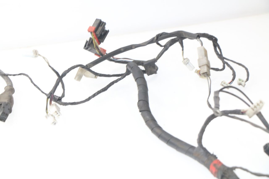 photo de FAISCEAU PIAGGIO LIBERTY 4T 50 (2004 - 2008)
