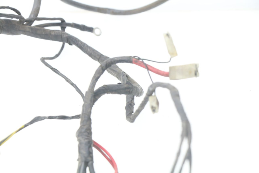 photo de FAISCEAU PIAGGIO LIBERTY 4T 50 (2004 - 2008)