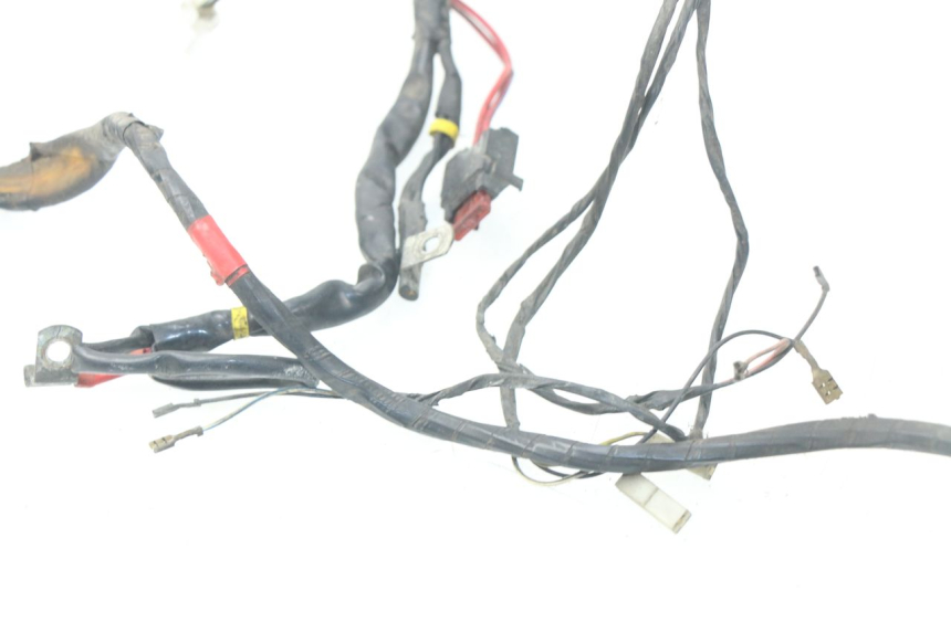 photo de FAISCEAU PIAGGIO LIBERTY 4T 50 (2004 - 2008)