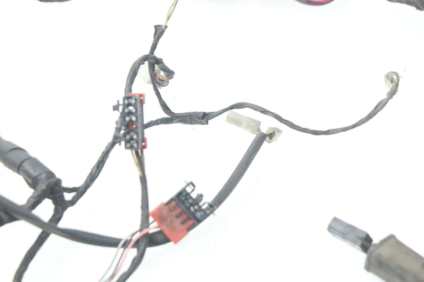 photo de FAISCEAU PIAGGIO LIBERTY 4T 50 (2004 - 2008)