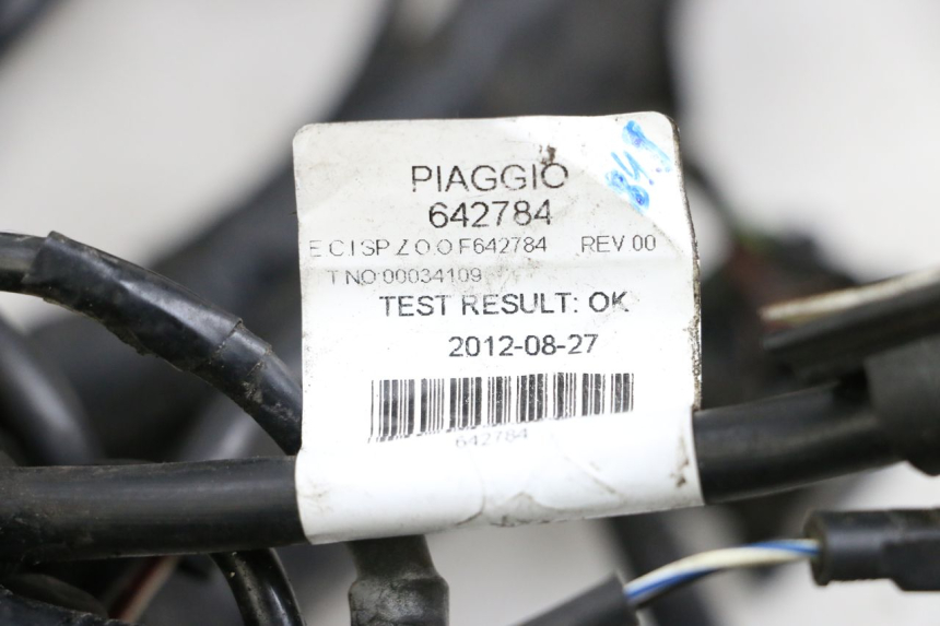photo de FAISCEAU PIAGGIO MP3 500 (2011 - 2015)