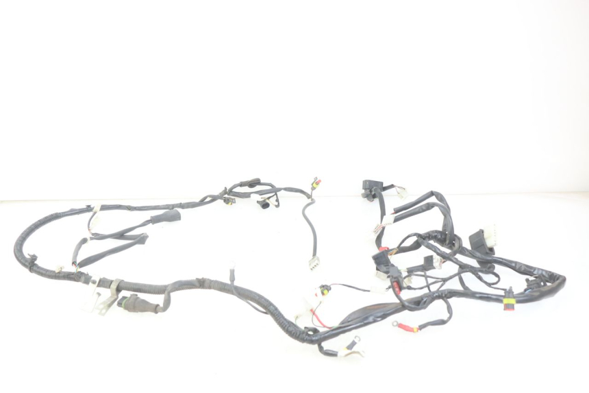 photo de FAISCEAU PIAGGIO VESPA PRIMAVERA 2T 50 (2013 - 2018)